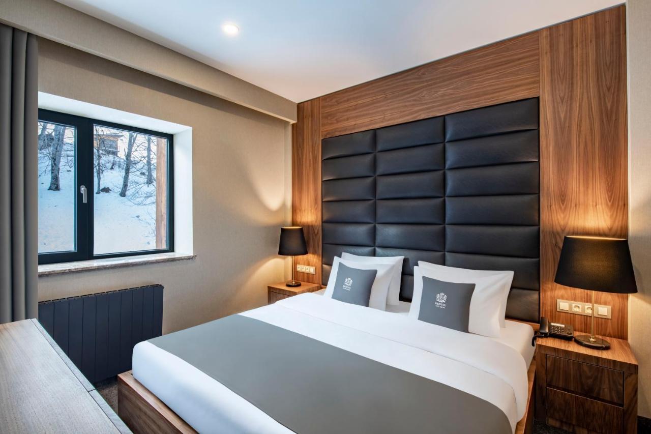 Bristol Hotel And Spa Bakuriani Εξωτερικό φωτογραφία
